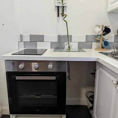 Serene 1 Bedroom Flat In Roath Cardiff Exterior photo